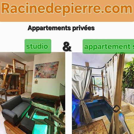 Apartmán Racine De Pierre Castres  Exteriér fotografie
