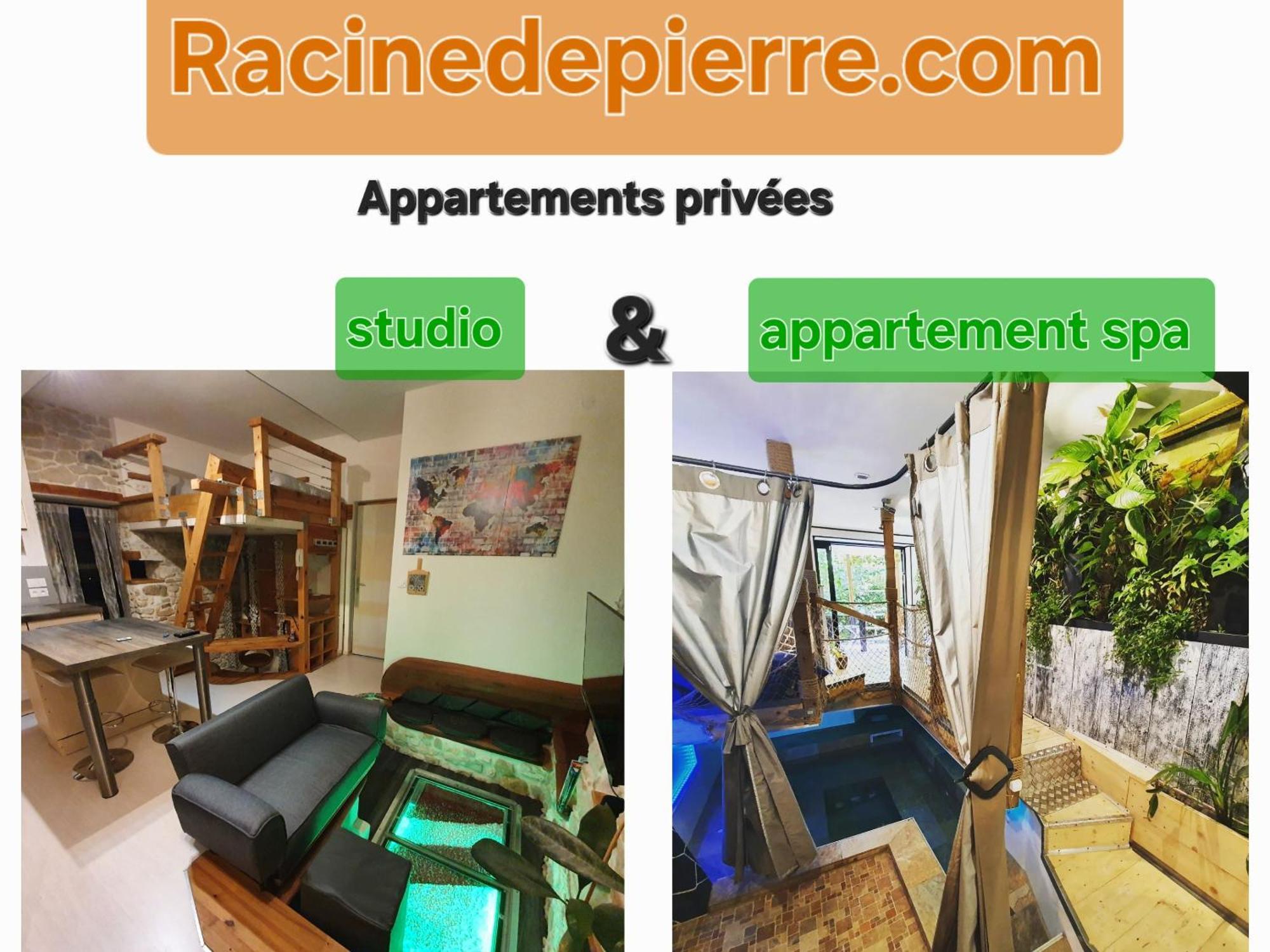 Apartmán Racine De Pierre Castres  Exteriér fotografie