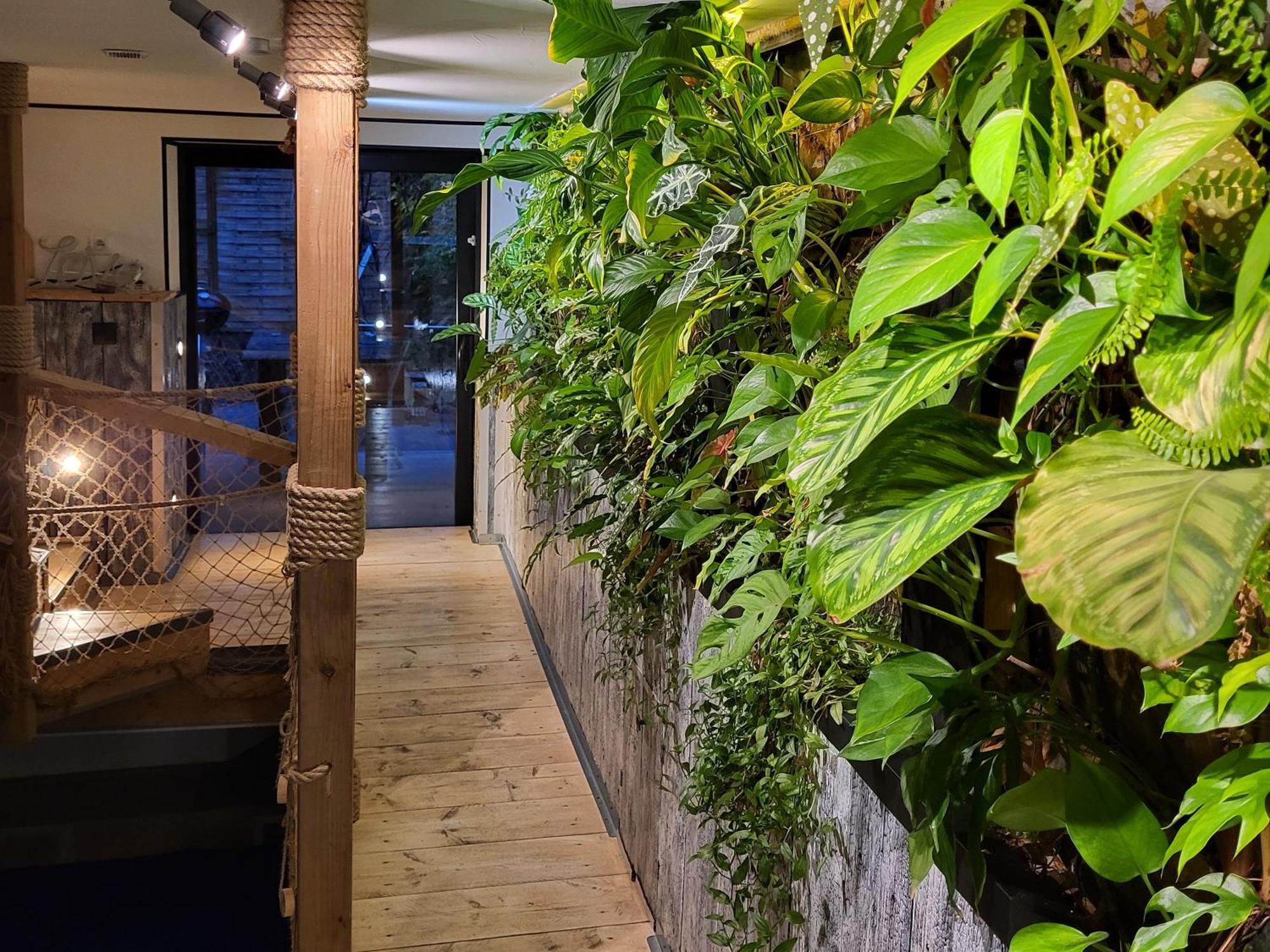 Apartmán Racine De Pierre Castres  Pokoj fotografie
